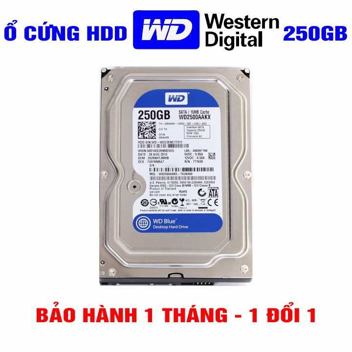 Ổ cứng HDD 3.5” Western Digital 250GB - Chính Hãng – Bảo hành 1 tháng 1 đổi 1 – Tháo máy đồng bộ mới 99% - HDD WD xanh