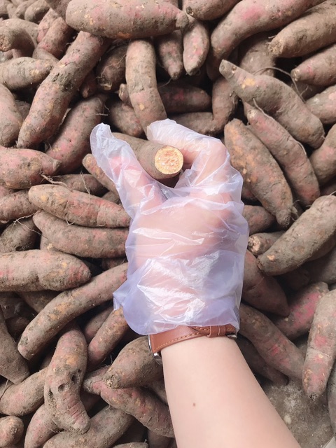 Combo 4 kg khoai lang mật 100k | BigBuy360 - bigbuy360.vn