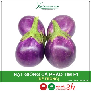 Hạt giống cà pháo tím phú nông dễ trồng nảy mầm cao gói 0.5 gram