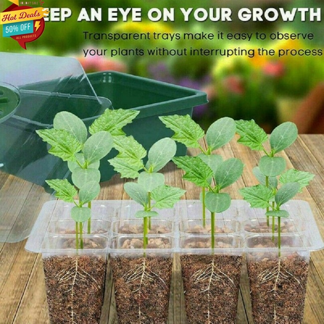 Khay Ươm Giống 12 Ngăn Hình Chữ Nhật Cho Cây Cảnh