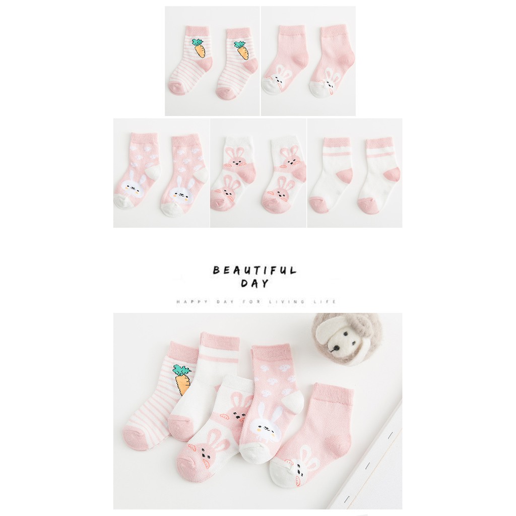 Set 5 đôi Tất cổ chân Hàn Quốc màu ngộ nghĩnh.