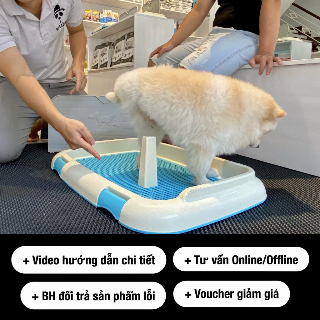 Khay vệ sinh chó phù hợp mọi dòng cún Poodle, Corgi, Pom - Thiết kế có tường, chống cào tã | BossDog