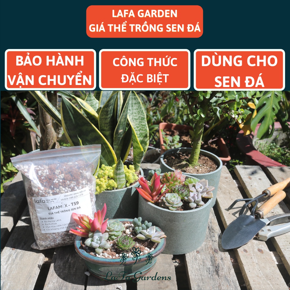 Đất trồng sen đá LAFAMIX-TS9  túi 6 lít, nguyên liệu nhập khẩu đá perlite, đá pumice chuyên trồng cây sen đá
