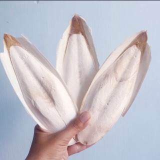Nan mực khô 500g