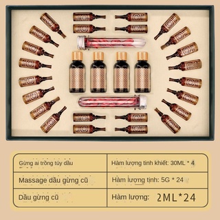 ▥❃Tinh dầu xoa bóp mở lưng thẩm mỹ viện gừng trị liệu gừng dân sốt sức khỏe bộ hộp tinh dầu thông kinh lạc vai gáy buồng
