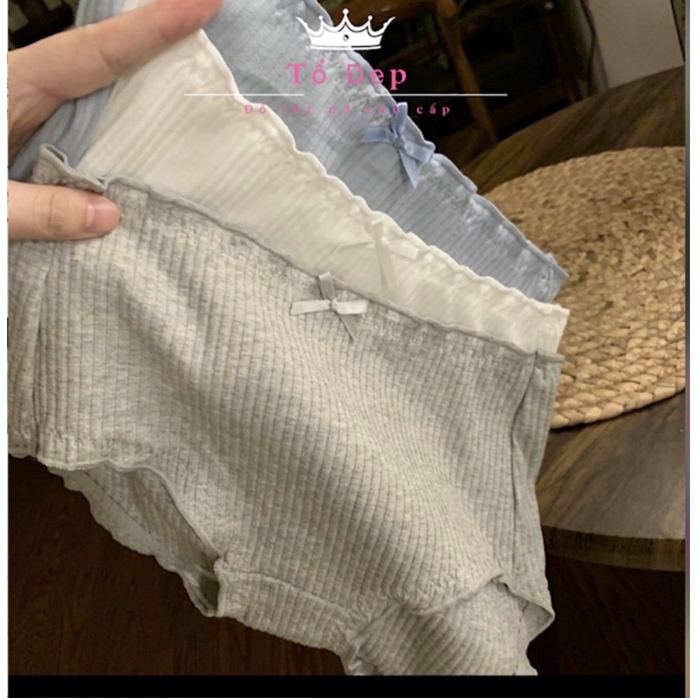 Set 3 quần lót nữ cotton thun nguyên chất lưng vừa pha bèo cực xinh 722
