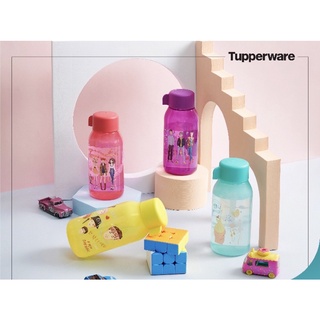 Bình nước eco bottle fancy 350ml