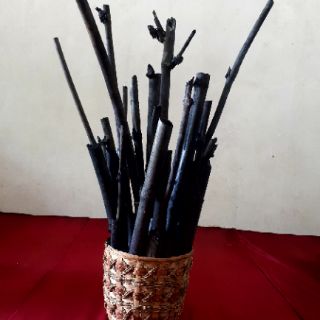 THAN TRE HOẠT TÍNH DẠNG ỐNG