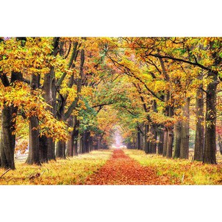 Tranh dán tường 3D vườn cây lá vàng BINBIN PC01 (Không phai màu)