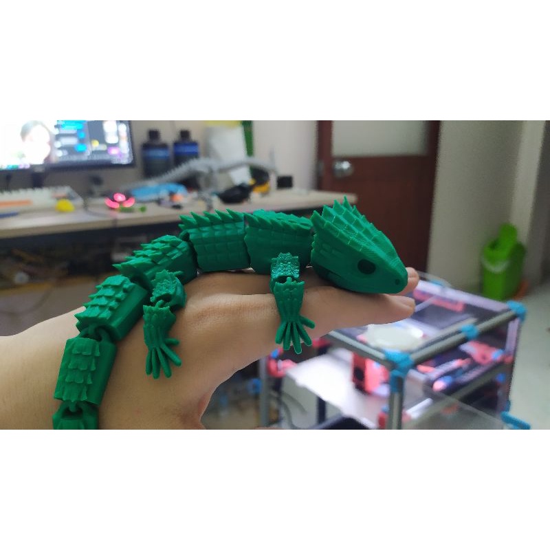 Thằn lằn Red-Eyed Crocodile Skink