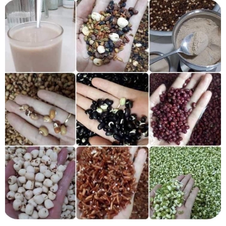 Ngũ cốc nội tiết, lợi sữa. tăng cân 18 loại hạt
