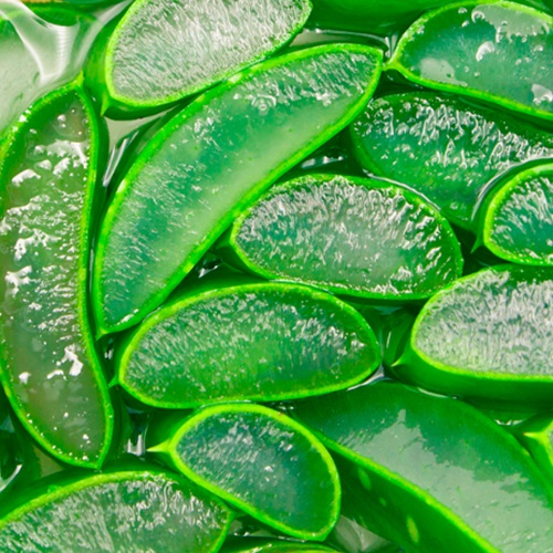 [HOLIKA HOLIKA] Aloe Soothing Essence Waterproof Sun Cream SPF50+ PA++++ 70ml