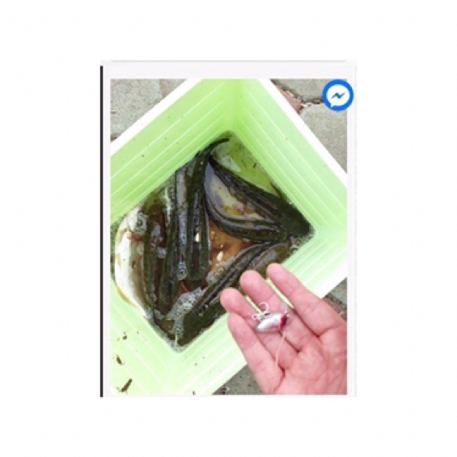 Combo 3 mồi ruồi chuyên bắt cá rô- chuối- lóc