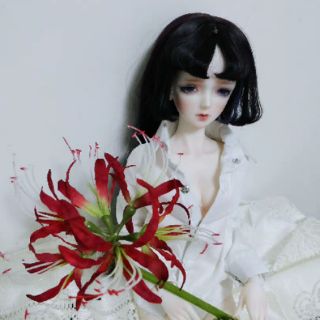 Hoa lụa - Bỉ ngạn hoa (ảnh thật)