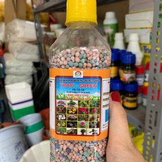 Phân bón chuyên hoa cây cảnh dạng chai