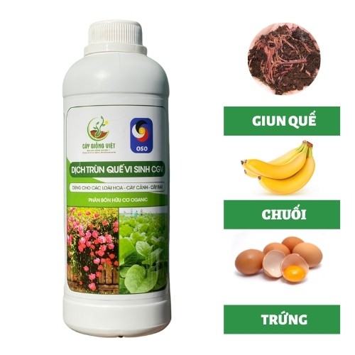 Dịch Trùn Quế Vi Sinh Chai 1Lit, Dịch Trùn Quế Humic , Phân Bón Hữu Cơ Cho Cây Hoa Cây Cảnh - Chai 1000ml