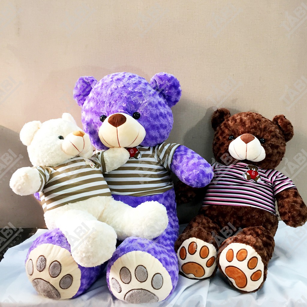 [Hình Shop Chụp] Gấu Bông Teddy Khổ Vải 1m2, Cao 1m - Thú Nhồi Bông Teddy Siêu Cute