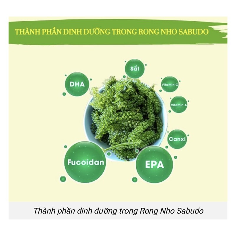 Túi 100gr nở ra 400gr rong nho tươi + tặng sốt mè rang- rong nho green food cao cấp hàng cty check mã vạch