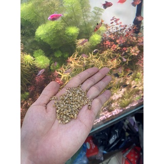 Cát, sỏi nắng vàng trải nền 100gr