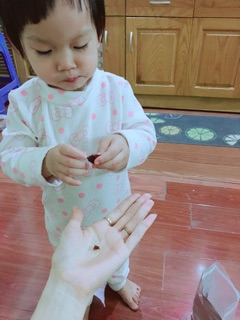 Nho sấy Ninh Thuận