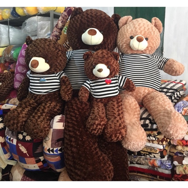 Gấu bông teddy đủ size 1m đến m8