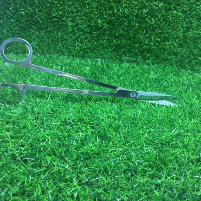Kéo thuỷ sinh 25cm - chuyên dụng cho việc cắt tỉa trong hồ thuỷ sinh
