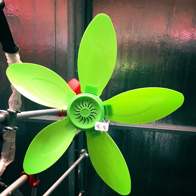 Quạt trần mini sải cánh 42cm dây đồng sịn cực mát tiết kiệm điện | BigBuy360 - bigbuy360.vn