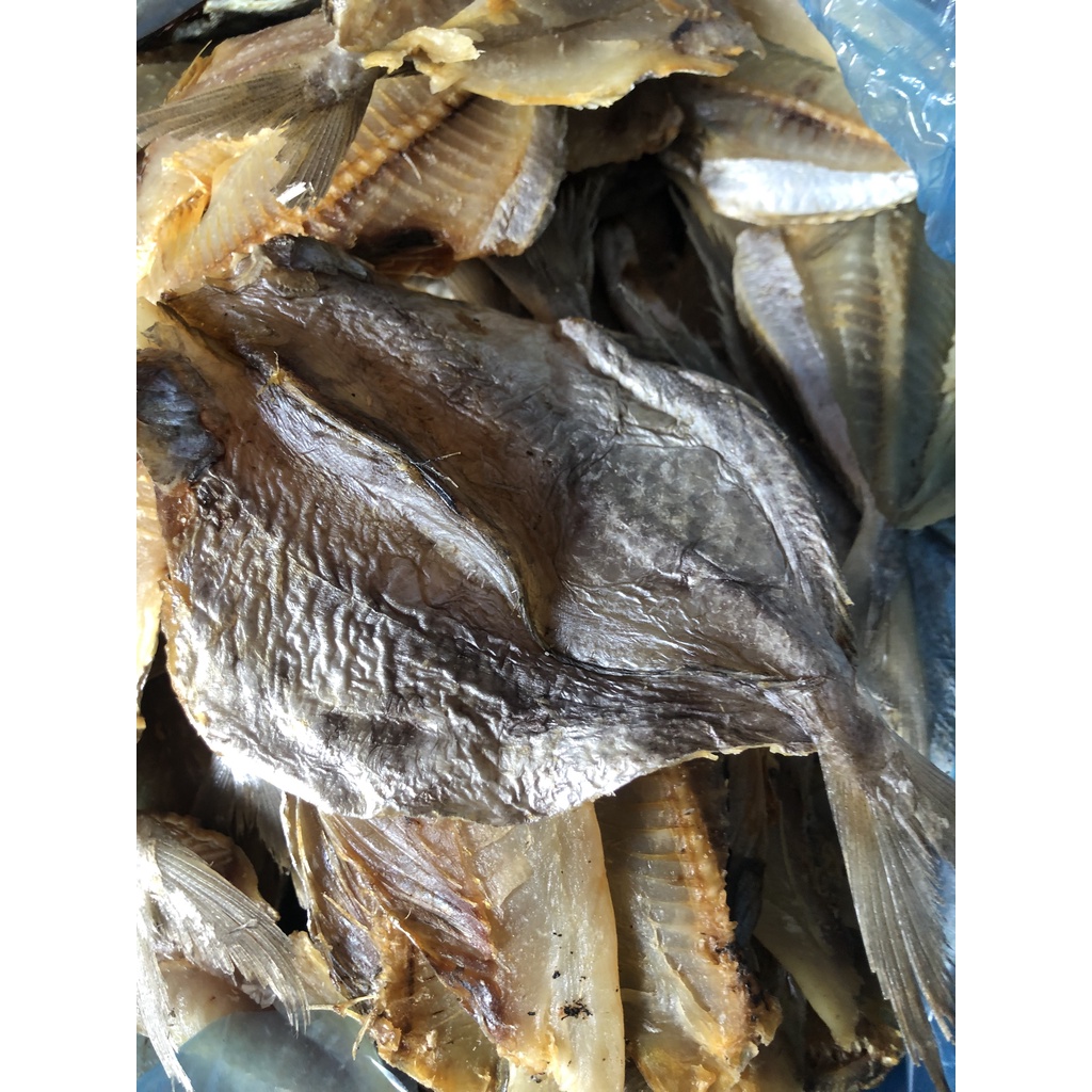 Khô cá đội đèn/ Cá sứa khô mặn dày thịt