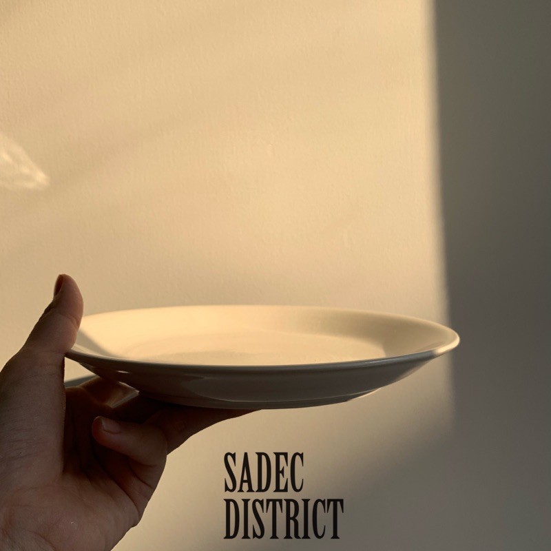 Đĩa sứ Ikea size 20cm