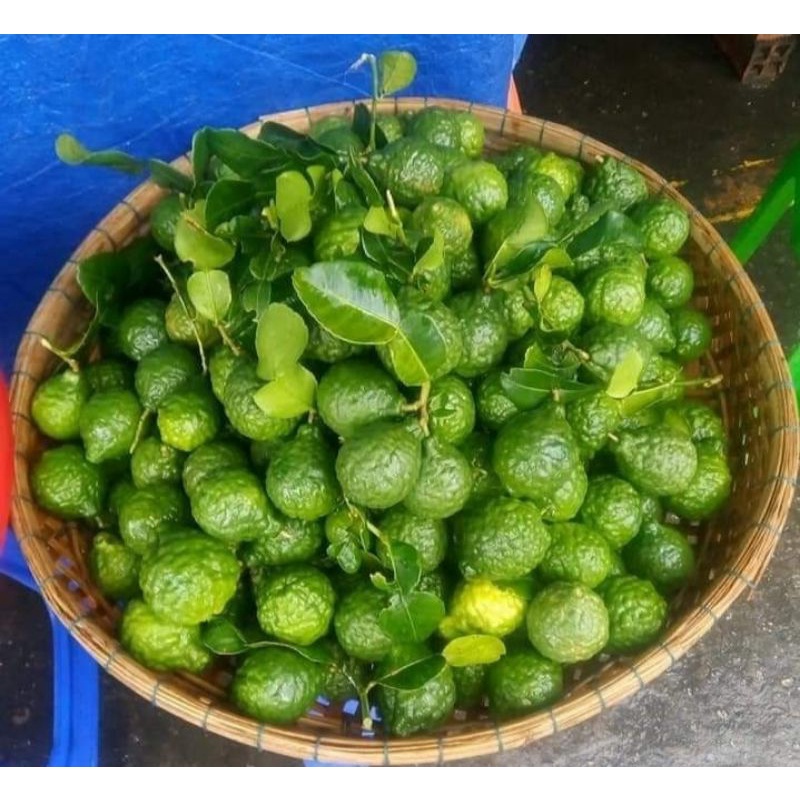 Trái Chúc ( Chanh Thái) An Giang - 1kg
