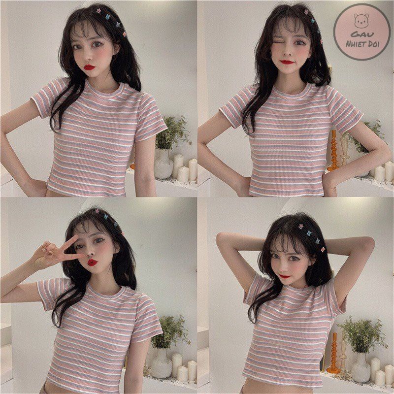 Áo Phông Nữ Kẻ Cộc Tay Cổ Tròn Áo Thun Kẻ Ngang Thời Trang Hè Full 04 Màu Trắng/Xanh/Đỏ/Cam