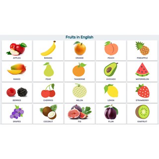 BỘ FLASH CARD TIẾNG ANH CHO BÉ(T)