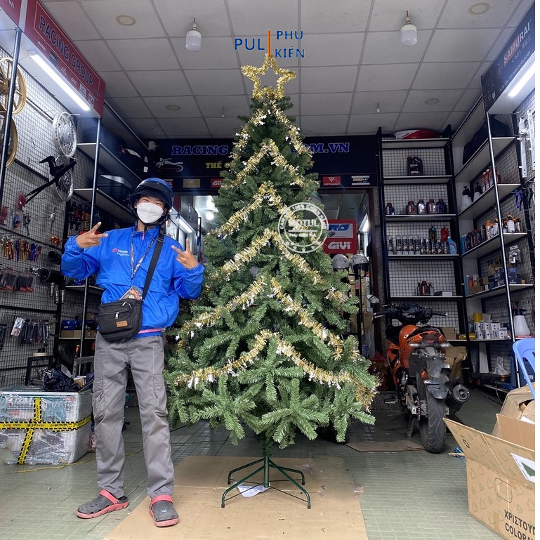 Hỏa tốc HCM Cây thông noel 2M 3M 4M XANH TRƠN tặng ngôi sao và dây kim tuyến hàng việt nam decor trang trí giáng sinh