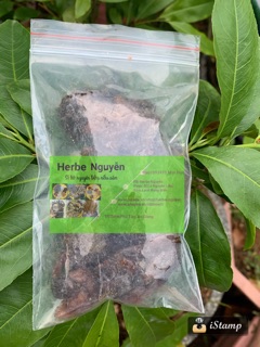 Nhãn nhục vàng loại 1🍒200g