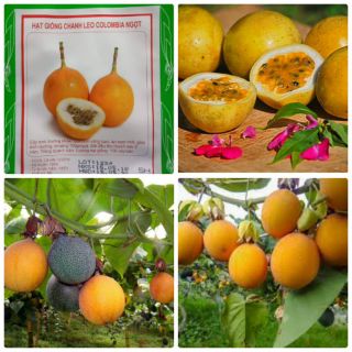 Hạt giống chanh leo shopsuplo