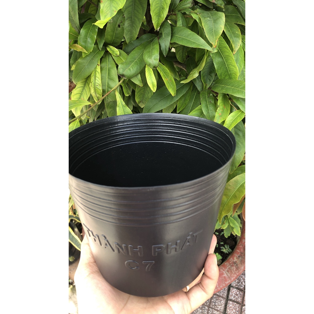 Chậu nhựa C7 đen dẻo trồng cây hoa