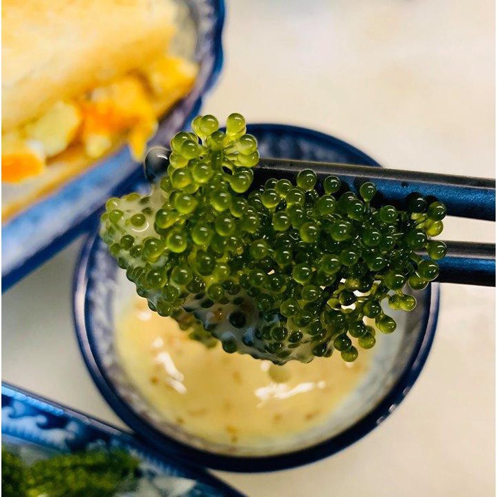 [QUÀ TẶNG KÈM] Rong Nho Yukibudo, Rong Nho Tách Nước Chính Hãng Sản Xuất Theo Công Nghệ Nhật Bản + Kèm Nước Sốt Mè Rang | BigBuy360 - bigbuy360.vn