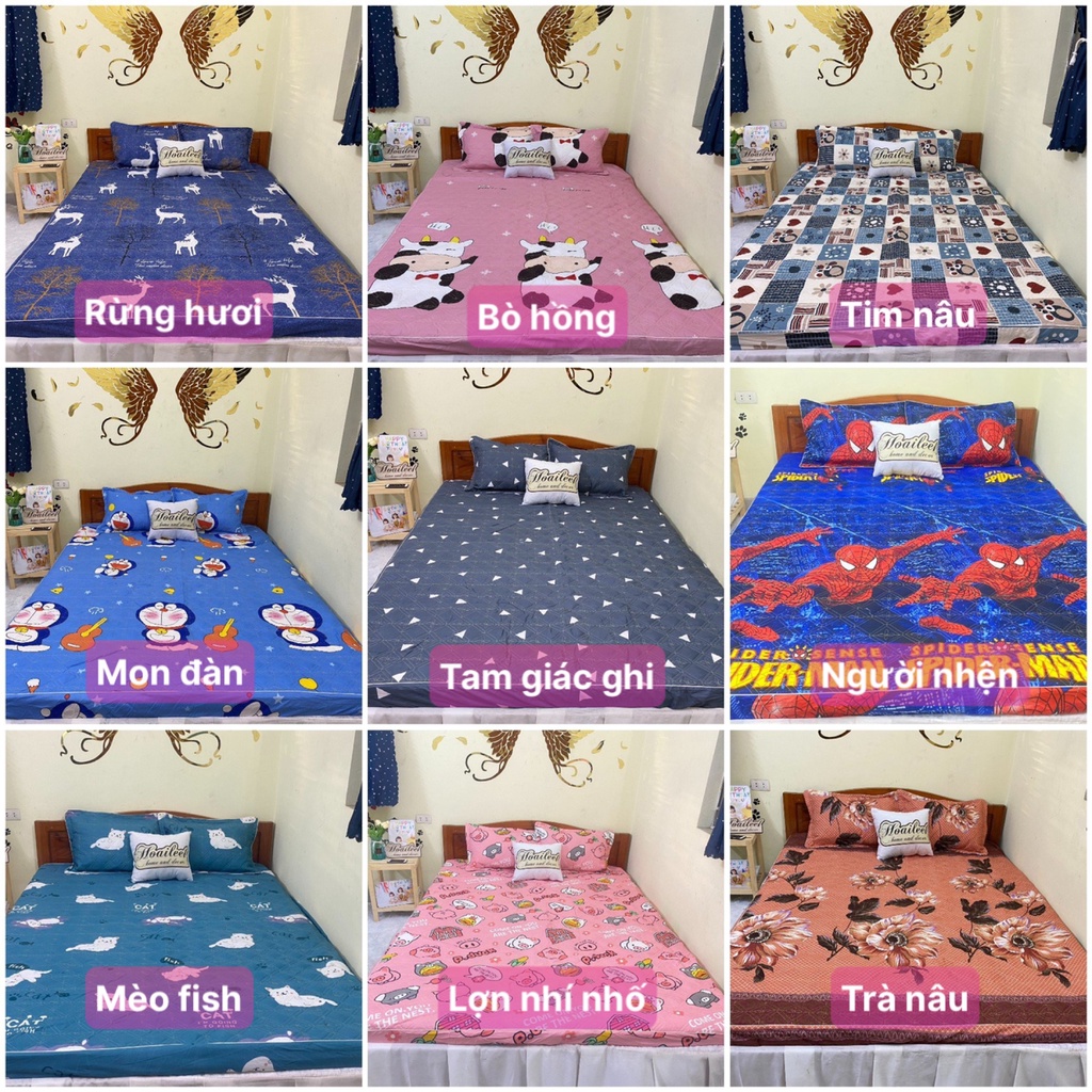 Bộ ga gối chun trần bông và 2 vỏ gối đầu,Ga Dày Dặn- Ga Trải Giường Cam Kết Bọc Đệm Không Xô Đủ Size m6 m8 2m2