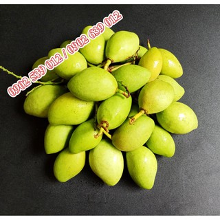 Xoài Non nguyên trái 1 ký