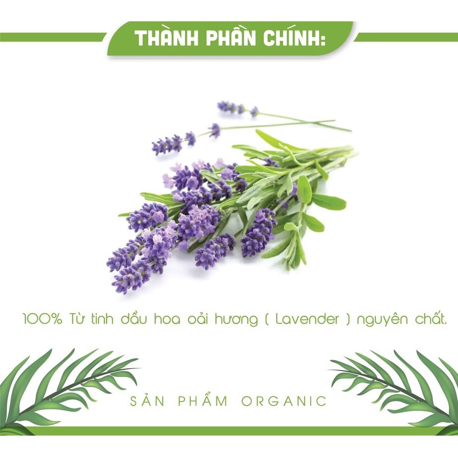 Tinh dầu Oải Hương AN AN thơm phòng, đuổi muỗi 10ml / Tinh dầu thiên nhiên nguyên chất nhập khẩu Ấn Độ/ Đạt GMP - USDA