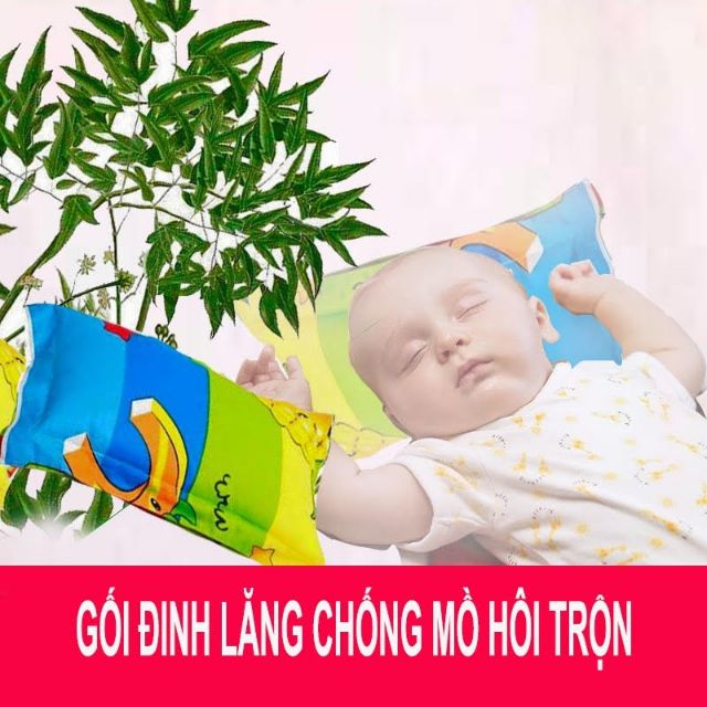 Gối đinh lăng chống mồ hôi trộm cho bé sơ sinh đến 3 tuổi