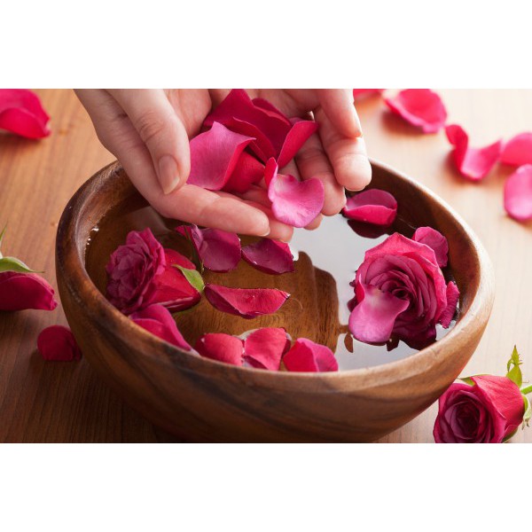 Trà cánh hoa hồng sấy khô