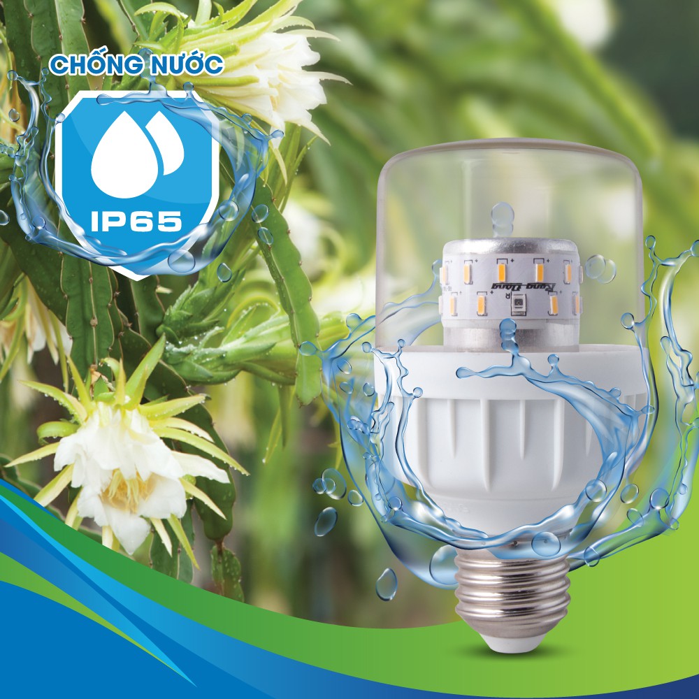 Bóng đèn LED nông nghiệp, chuyên dùng cho cây thanh long chính hàng Rạng Đông Model LED.TL-T60 WFR/9W