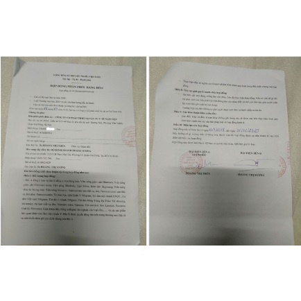 MỘC LINH CHI BODY WEIGHT hộp 30 viên