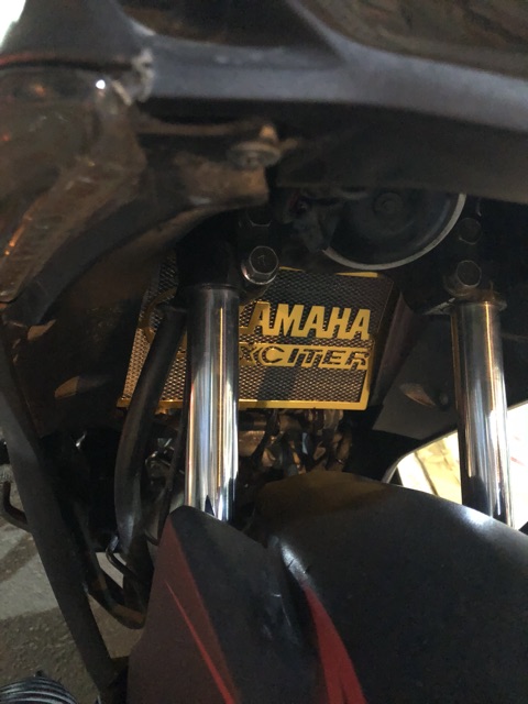 Che két nước lưới exciter 150