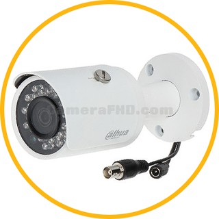 Camera IP Dahua DS2130FIP 1.0 (DSS)