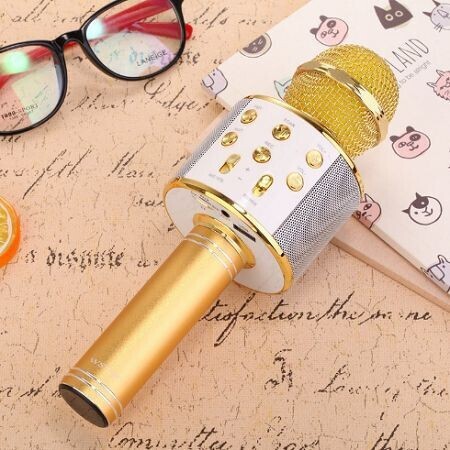 Sản phẩm Microphone Karaoke Kèm Loa WSTER WS-858 I148_T