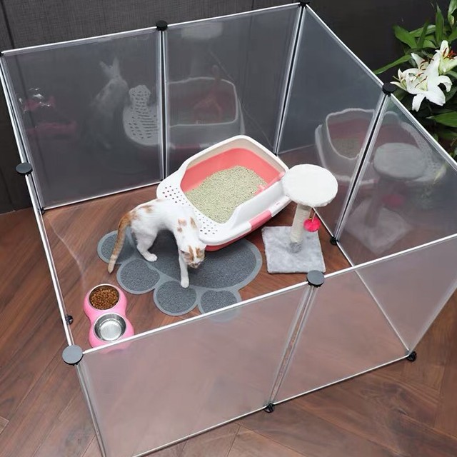 CHUỒN LẮP GHÉP CHÓ MÈO THÔNG MINH