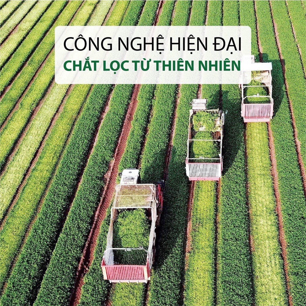 Bột Khoai Tây đắp mặt nạ hữu cơ SUZIKO nguyên chất 140G | 100% Organic