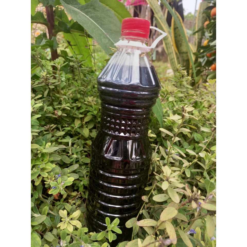 Nước mắm cốt cá cơm làng nghề Phú Lợi Quỳnh Lưu nguyên chất, cam kết sạch, đảm bảo ATVSTP, 1 lit